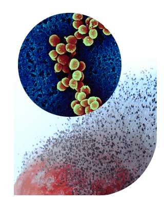 Toxin in Meat