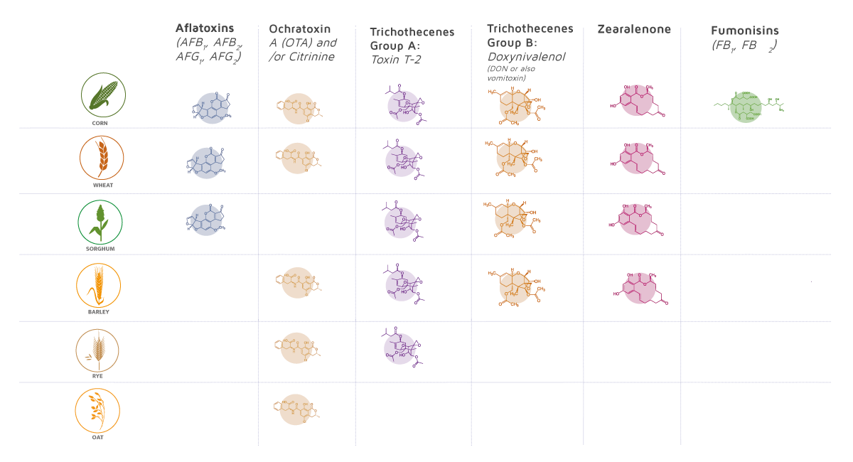 Raw Material Mycotoxins