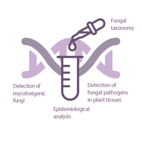 advantages of touchdown pcr