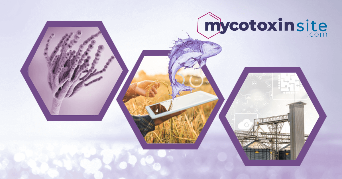 4.0 TECHNOLOGY - Future of mycotoxin control in aquaculture : MycotoxinSite