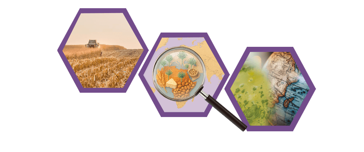 Micotoxinas