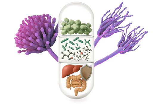 Micotoxinas