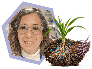Jimena Ruiz – Harnessing the rhizosphere: microbial detoxification of fusaric acid and the future of mycotoxin control