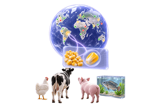 De datos a decisiones: Mycotoxinsite lanza nuevo mapa global de riesgo de micotoxinas