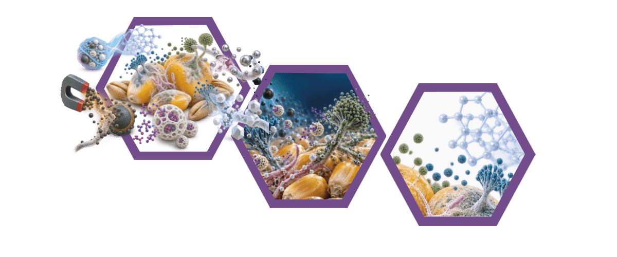 Mycotoxins